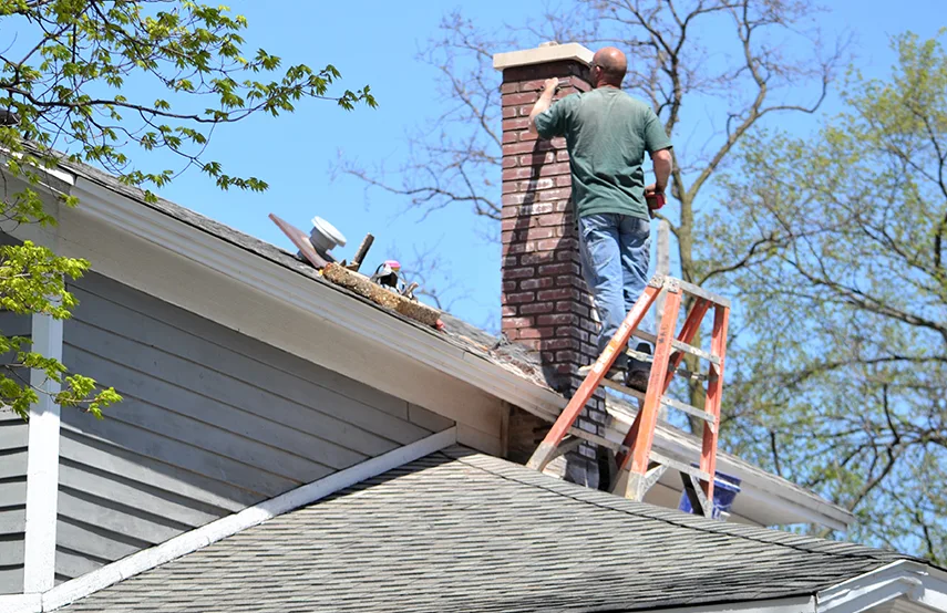 Chimney & Fireplace Inspections Services in North Massapequa, NY